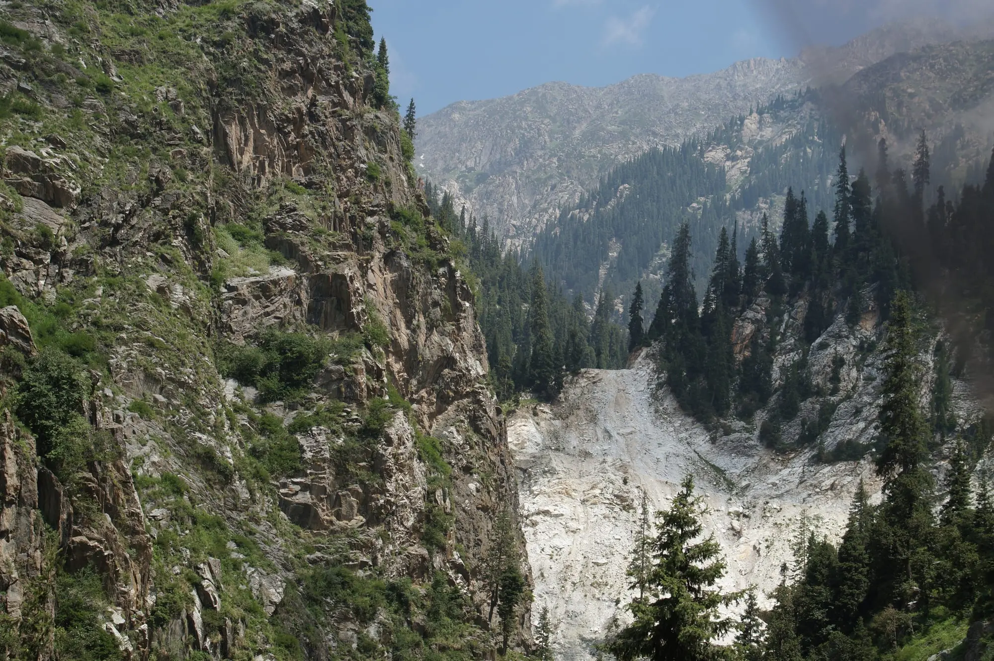 A steep forested valley with a large white rock exposure on the slope